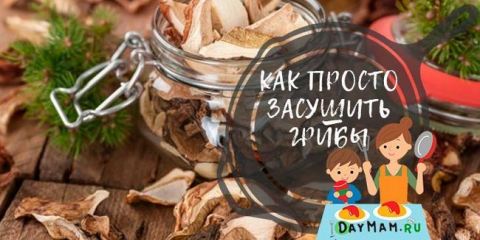 Jak sušit houby doma